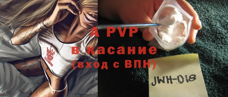 A PVP СК КРИС  Астрахань 